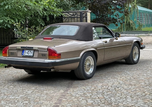 Jaguar XJS cena 65000 przebieg: 36331, rok produkcji 1990 z Augustów małe 211